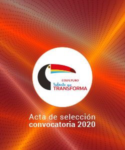 Acta de Selección 2020